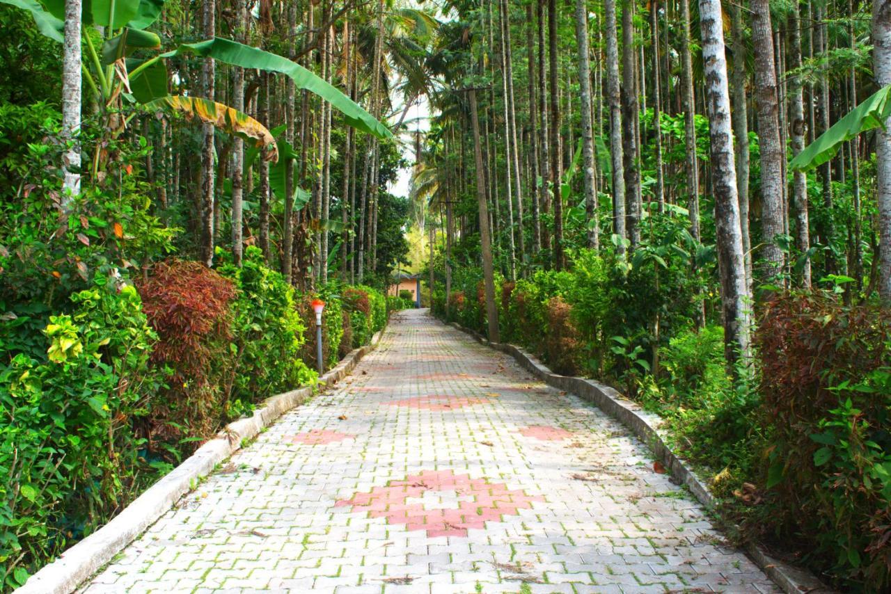 Staymaker Coorg Jungle Stay Resort Kushālnagar Exterior foto